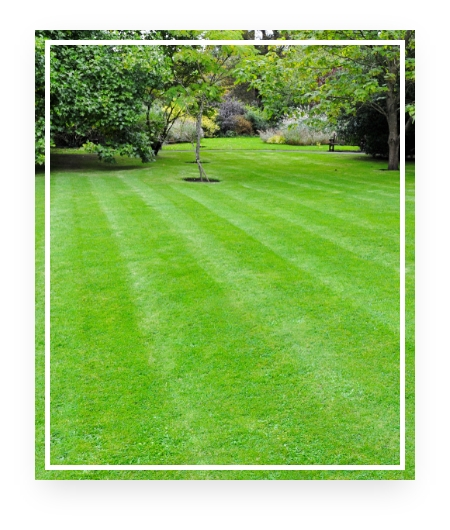 Sioux Falls Lawn Mower Equipment Dealer